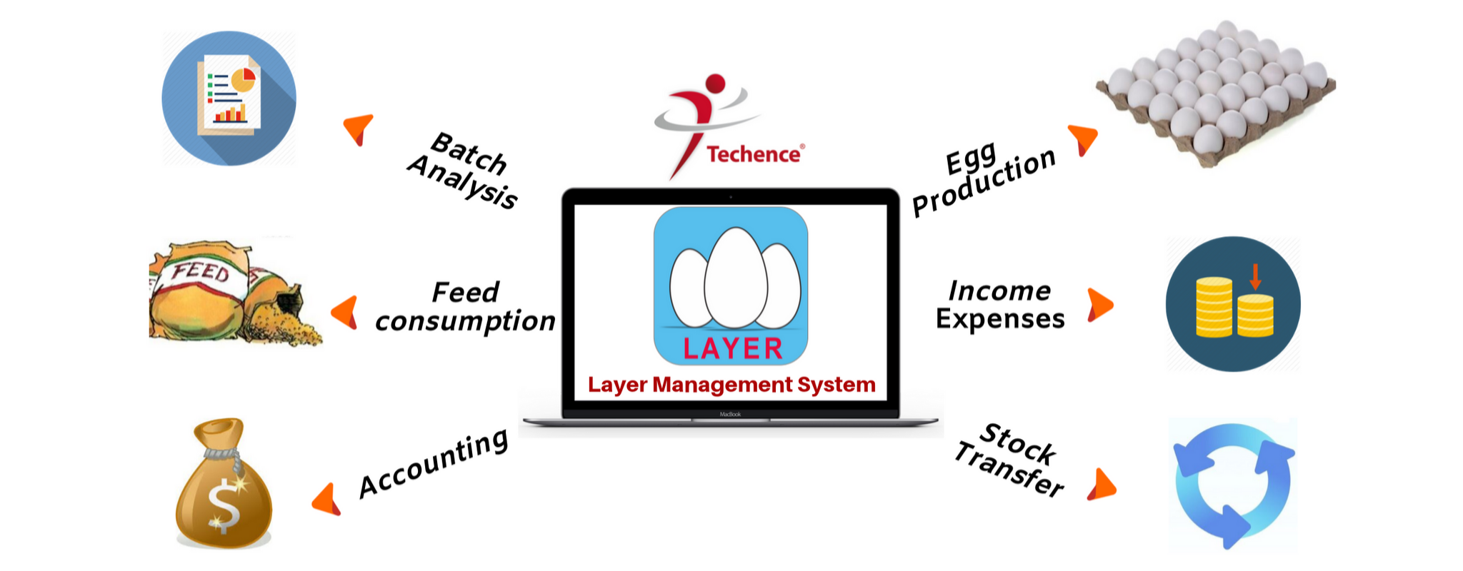 LMS Layer Management System1